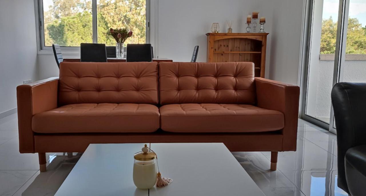 Ellas Modern Duplex City Center ニコシア エクステリア 写真