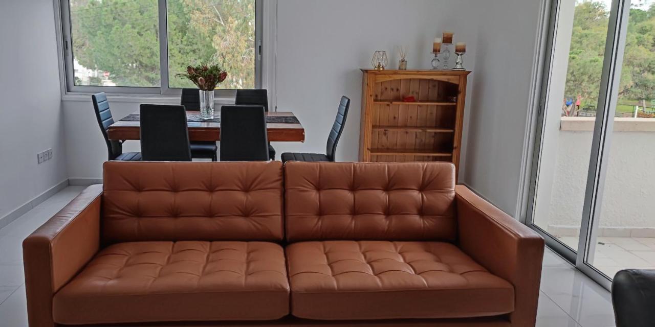 Ellas Modern Duplex City Center ニコシア エクステリア 写真