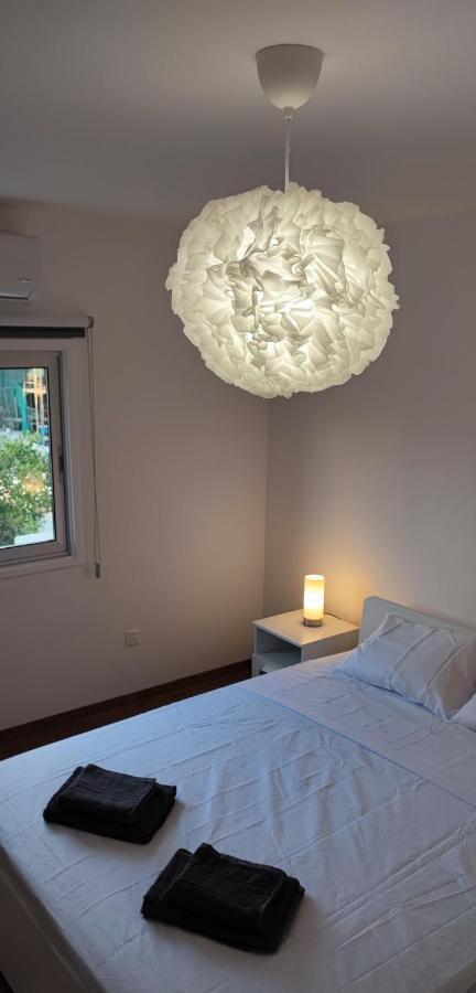 Ellas Modern Duplex City Center ニコシア エクステリア 写真